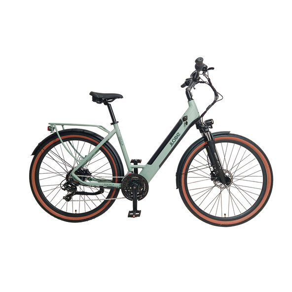 Trekking-E-Bike Utah 2.1, Damen