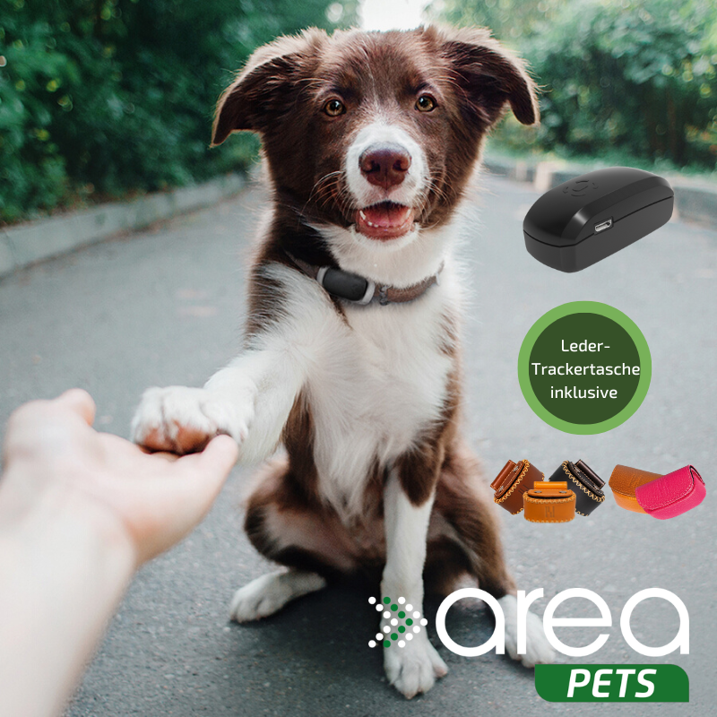 Prothelis Area Pets GPS-Tracker für Tiere