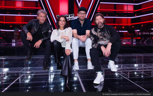 The Voice of Germany: Falsches Voting-Ergebnis wegen Technikpanne