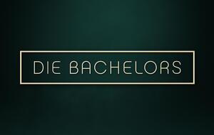 Logo "Die Bachelors"