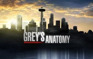 Endlich ist es soweit: Streame hier die 20. Staffel Grey's Anatomy bei Disney Plus!