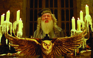 „Harry Potter“-Serie: Der neue Dumbledore steht fest!