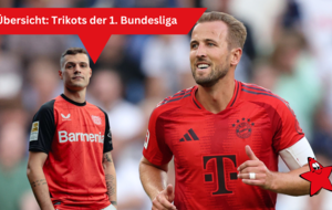 Trikots Bundesliga Fussball Sport Kleidung