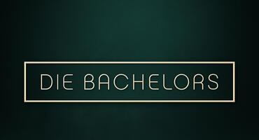 Logo "Die Bachelors"