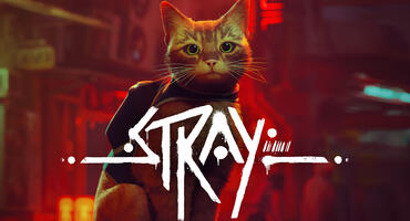 „Stray“ erscheint in Kürze für die Nintendo Switch: Hier mit Preisgarantie vorbestellen