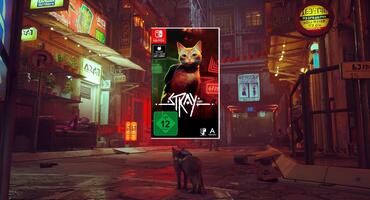 „Stray“ für die Nintendo Switch: Über dieses Geschenk freuen sich Klein und Groß