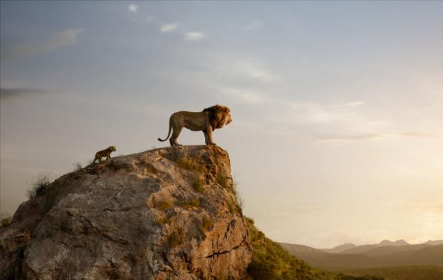 Der König der Löwen Filmbild