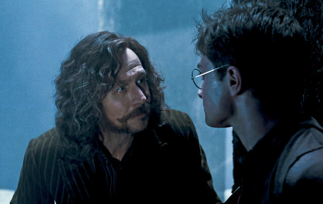 Gary Oldman als Sirius Black in &quot;Harry Potter&quot;