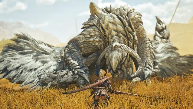 Monster Hunter Wilds Kampf