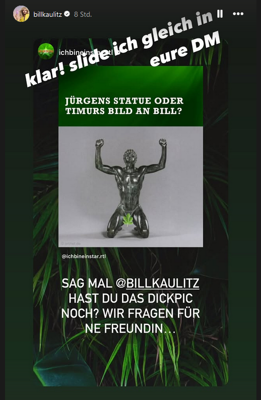 timur-uelker-bill-kaulitz-dschungelcamp