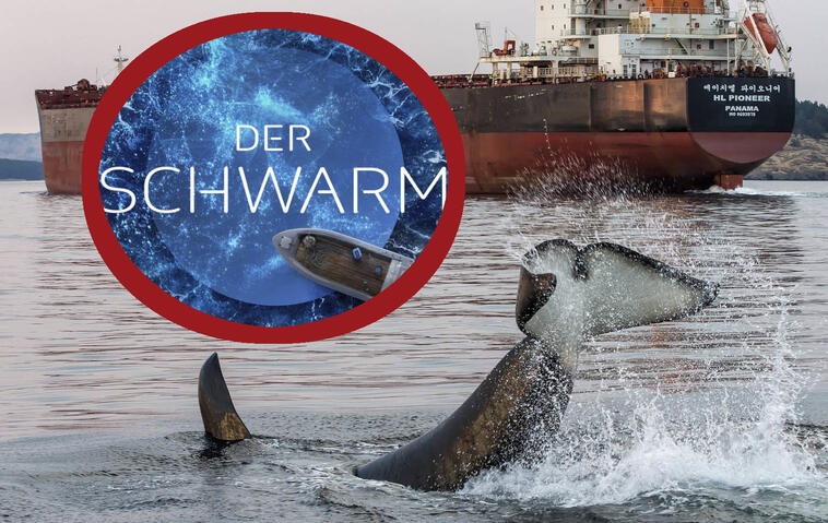 ZDF-Serie „Der Schwarm“ realistischer ist, als viele glauben!