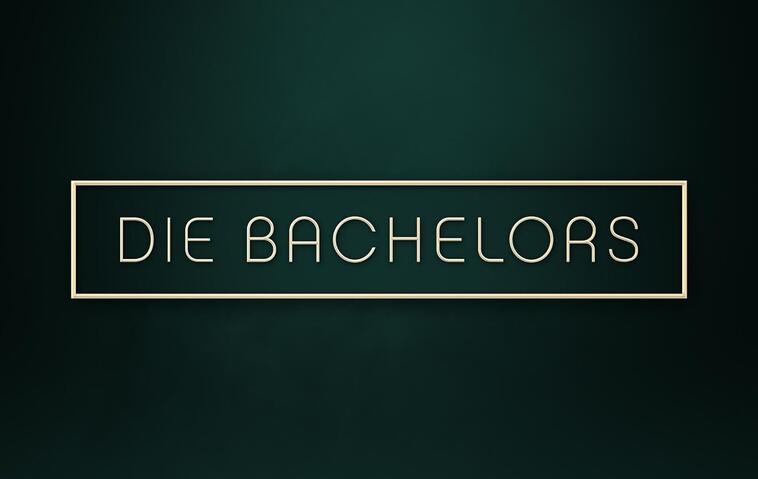 Logo "Die Bachelors"