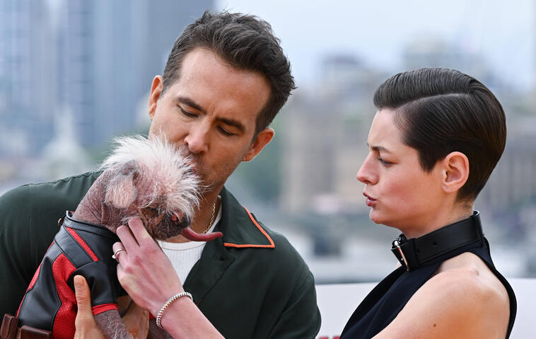 Ryan Reynolds, Emma Corrin und Peggy der Hund beim "Deadpool & Wolverine"Photocall.