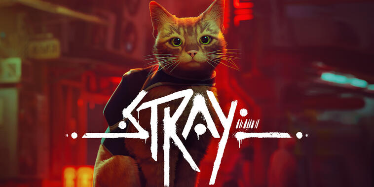 „Stray“ erscheint in Kürze für die Nintendo Switch: Hier mit Preisgarantie vorbestellen