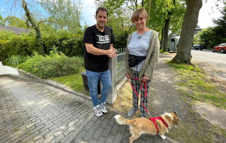 Schlimmster Fall für Martin Rütter? Hund wurde mit Säure überschüttet